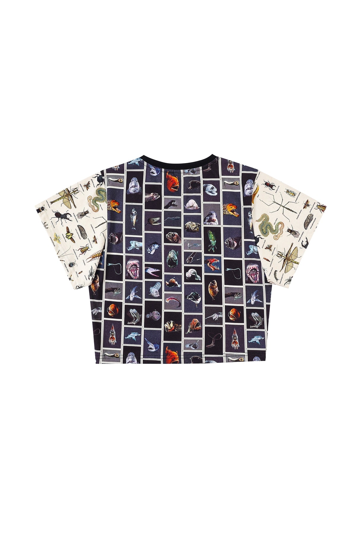 Frog/Bug/Fish Patchwork Cotton Tommy Tee