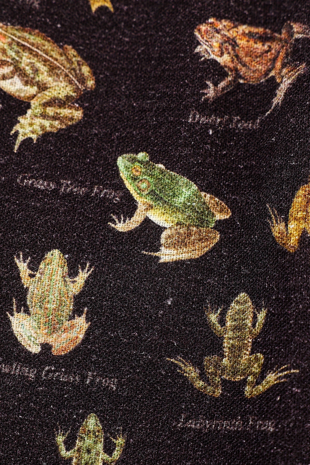 Long Sleeve Smocked Soft Linen Blouse Favorite Frogs