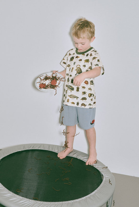 Turtles Kids Tee