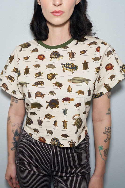 1 left - Turtles Cotton Tommy Tee