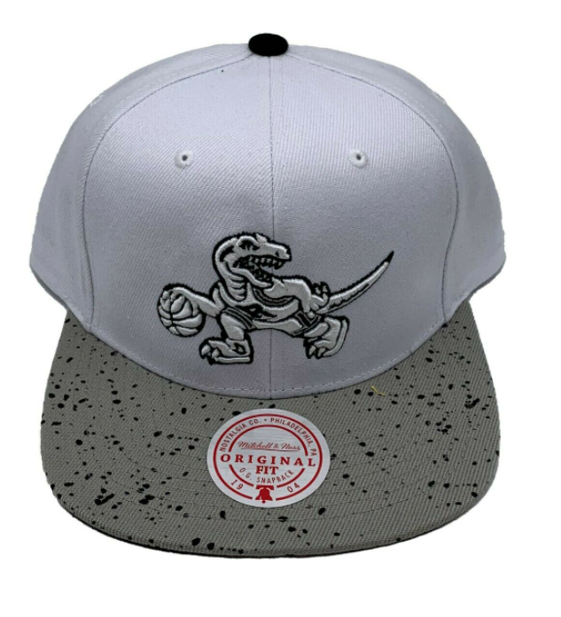 Men's Toronto Raptors NBA Cement Top HWC Mitchell & Ness Snapback Hat